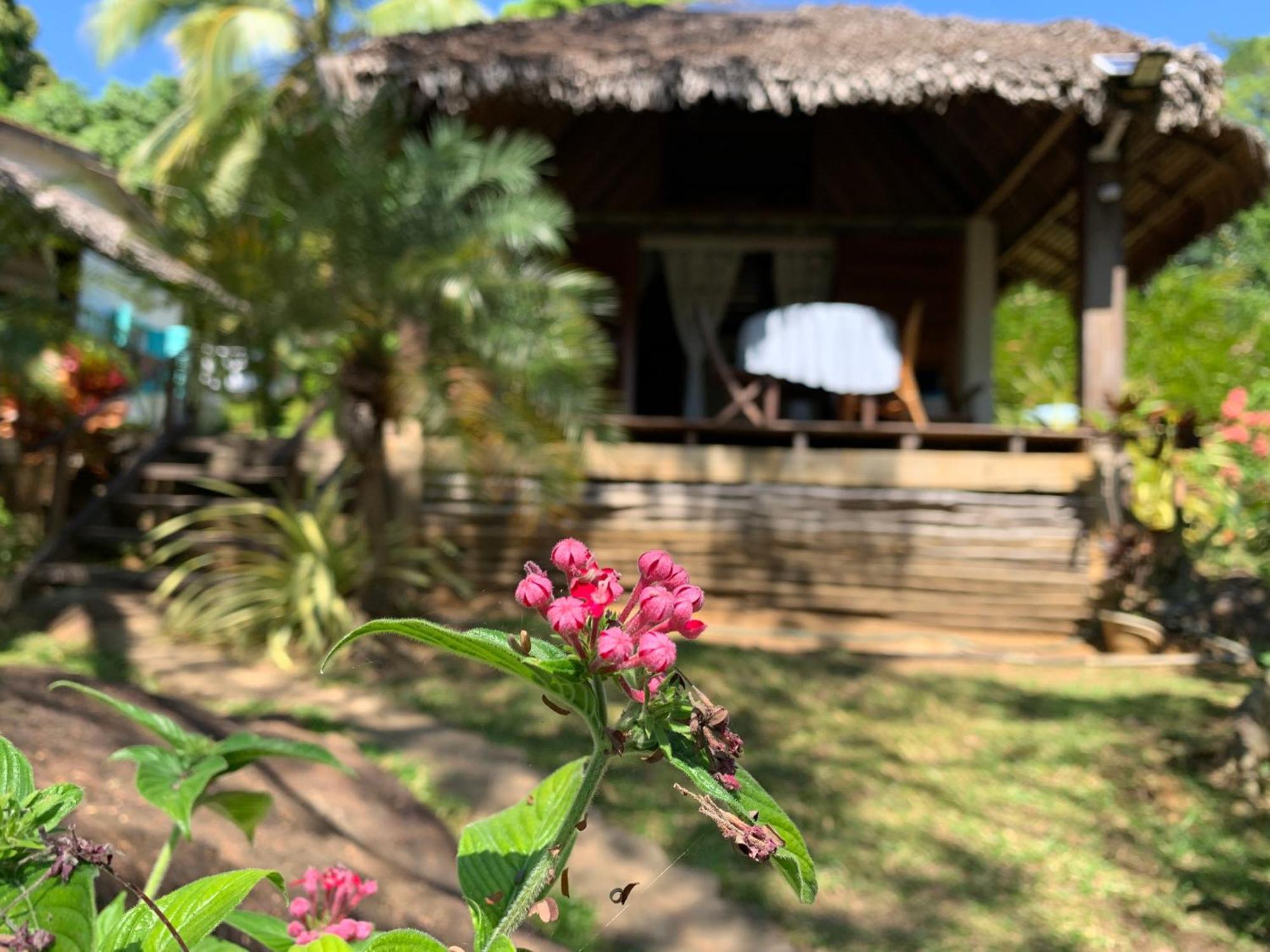 Les Jardins D'Ankify Andimaka Exterior foto