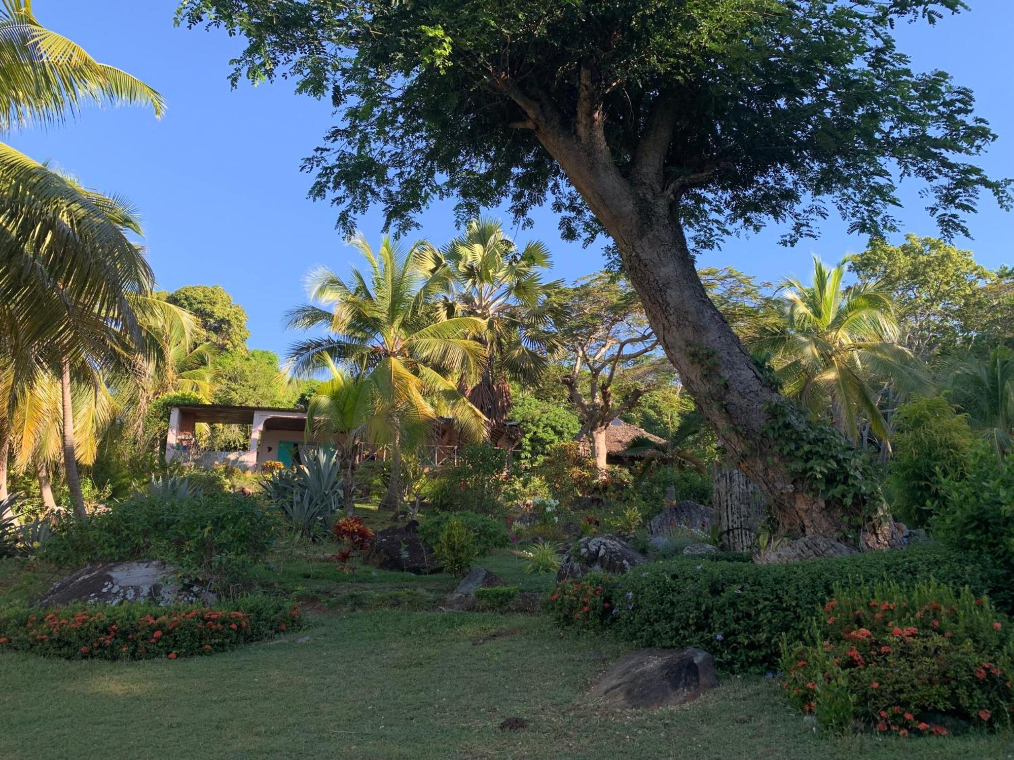 Les Jardins D'Ankify Andimaka Exterior foto