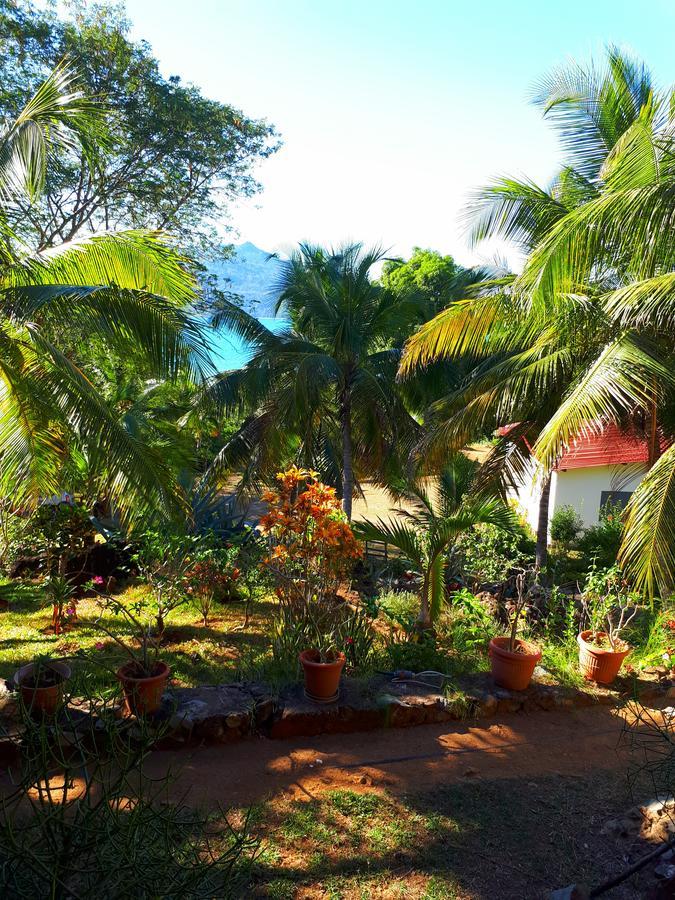 Les Jardins D'Ankify Andimaka Exterior foto